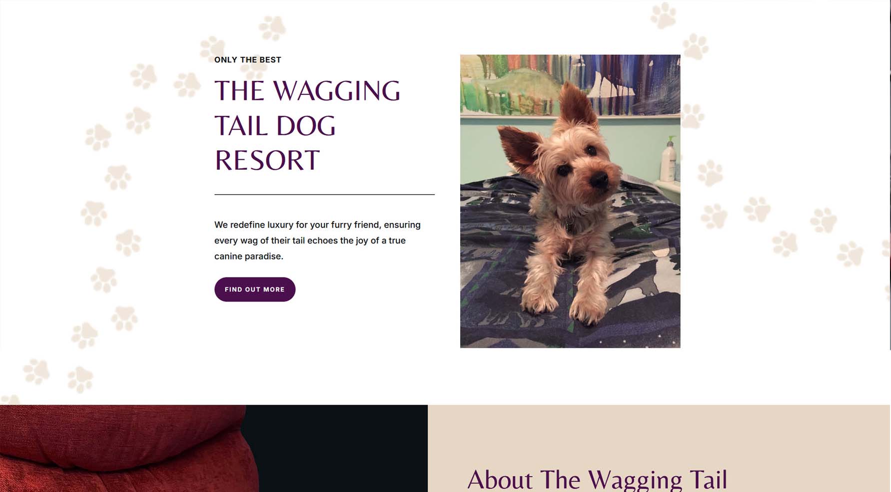 Pet 2b Kasper template