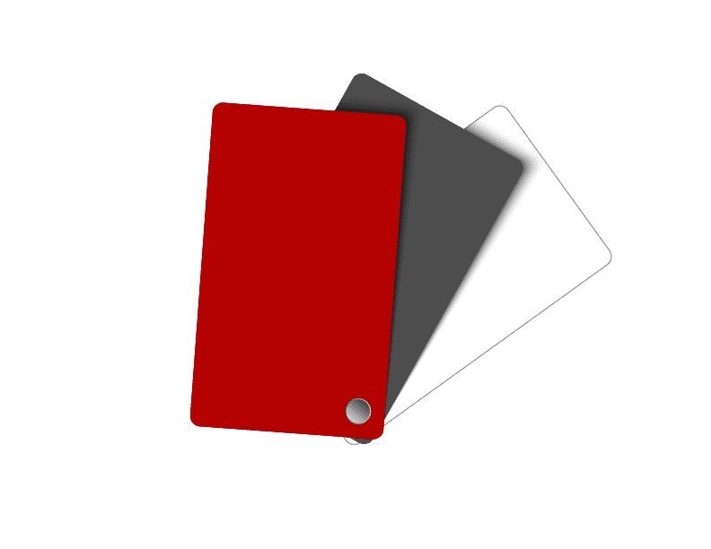 CV 8